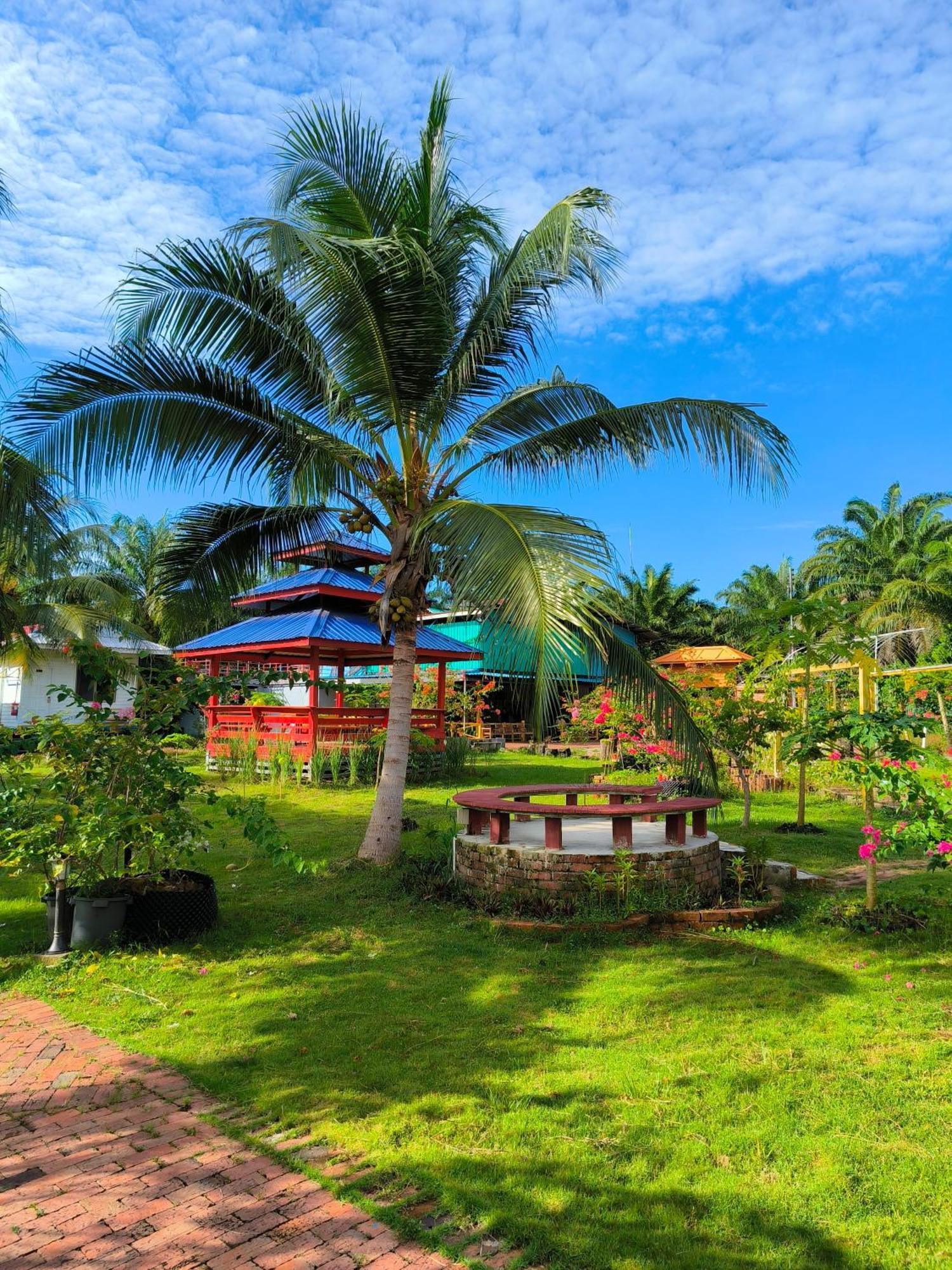 Shunde Palm Resort 仙本那顺德人家棕榈园 Extérieur photo
