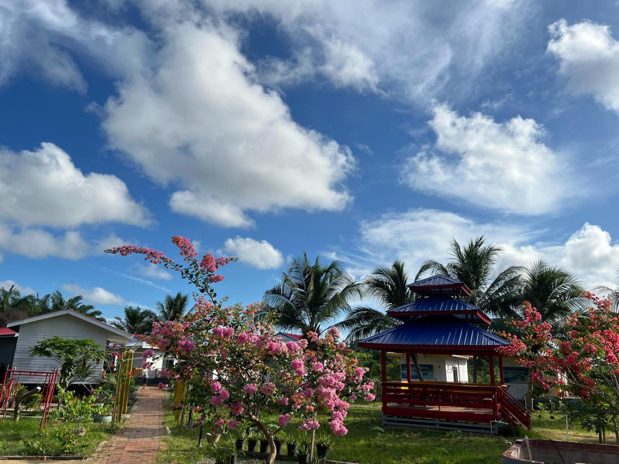Shunde Palm Resort 仙本那顺德人家棕榈园 Extérieur photo