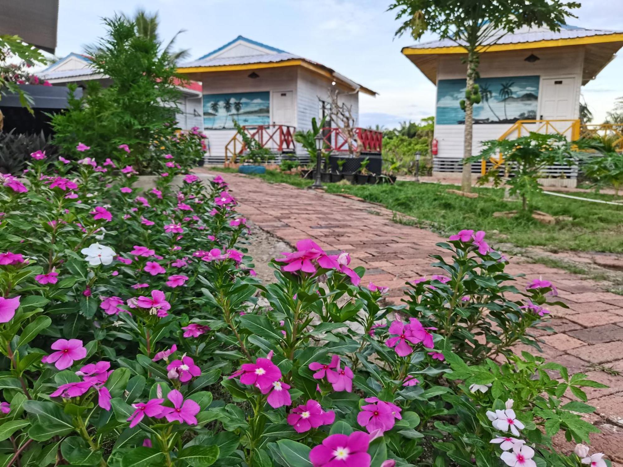 Shunde Palm Resort 仙本那顺德人家棕榈园 Extérieur photo